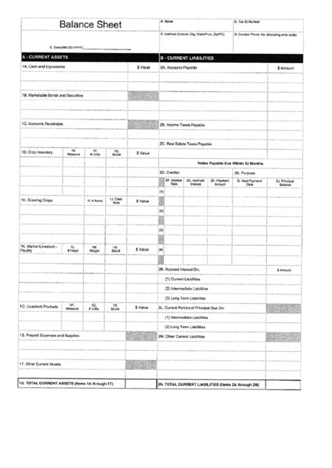 Blank Balance Sheet Template Printable Pdf Download