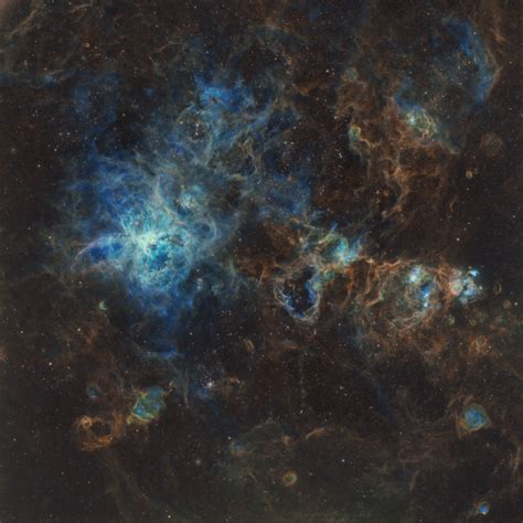 The Tarantula Nebula Telescope Live