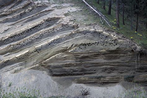 Thrust Fault And Fold Geology Pics