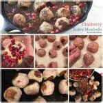 Cranberry Turkey Meatballs Created By Diane