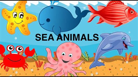 Sea Animal Fun Factskidzzaria Tvpreschool Learning Youtube
