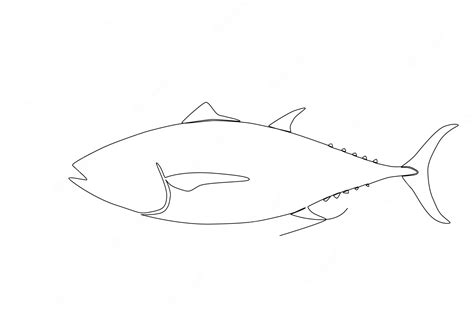 Premium Vector Atlantic Amberjack Fish Line Art