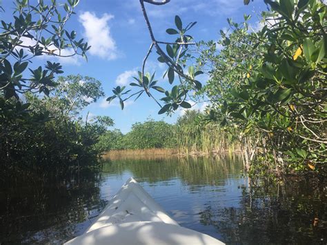 Everglades National Park Guide Video Podcast Gallery And Blog