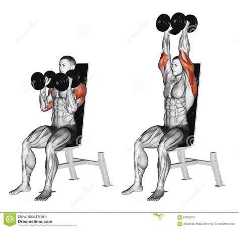 Exercising Dumbbell Seated Shoulder Press Parallel Grip Download