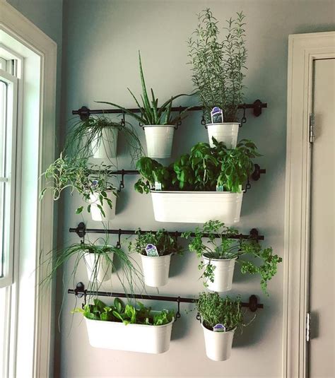 Indoor Herb Gardens On Instagram For The Kitchen Herb Garden Wall