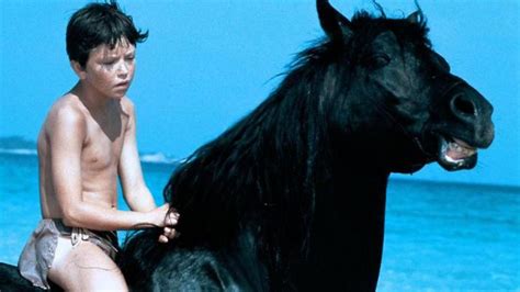 Nonton streaming film the black stallion (1979) sub indo terlengkap dan terbaru. TV Movie Guide Highlights: 9-15 May | Movie News | SBS Movies