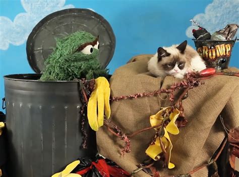 Oscar The Grouch Challenges Grumpy Cat To A Grouch Off E Online