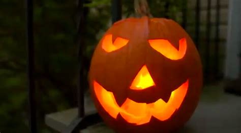 I do i a lot of woodcarving and have a lot of different knives. How to Make Jack 'O Lantern Carving Time Lapse Video | Nikon