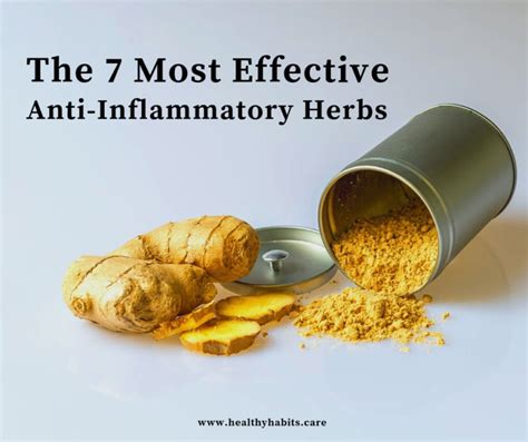 The 7 Most Effective Anti Inflammatory Herbs Healthy Habits