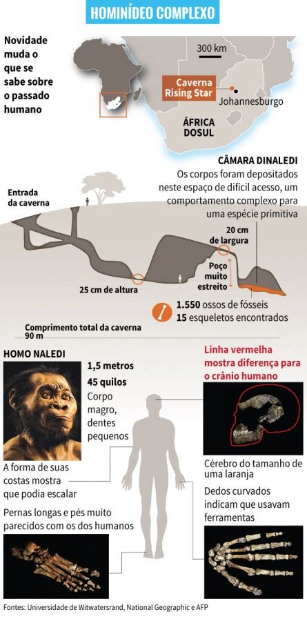 Homo naledi combines primitive with modern features and is not a direct ancestor of modern humans. Homo naledi pode ajudar a reescrever a história humana - Geledés