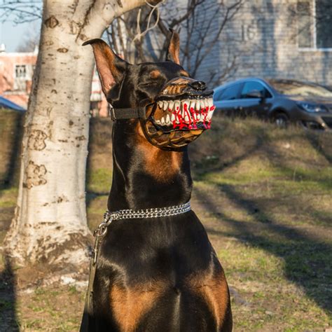 Werewolf Muzzle Perfect For Walking Your Dog On Halloween