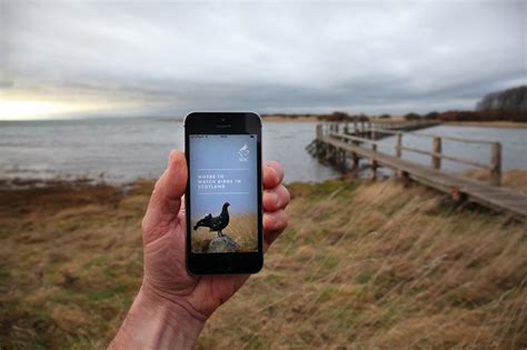 Where to Watch Birds in Scotland app - BirdGuides