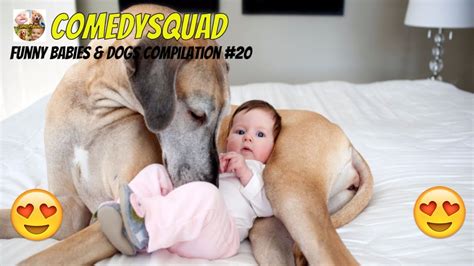 Funny Dogs Protecting Babies Funny Babies And Dogs Compilation 20 Youtube