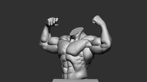 Male Anatomy 3d Model Cgtrader