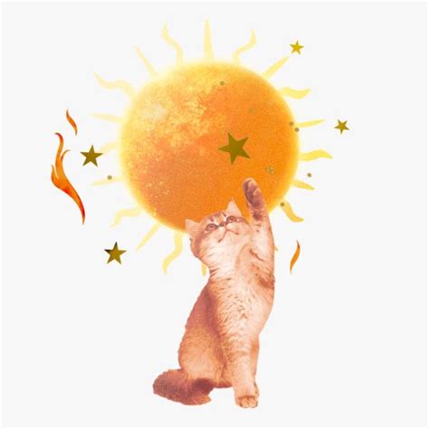 Sun In Leo Horoscopes CHANI