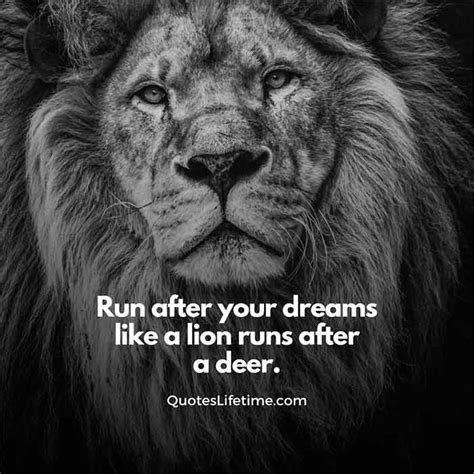 150 Lion Quotes And Sayings With Images For Motivation