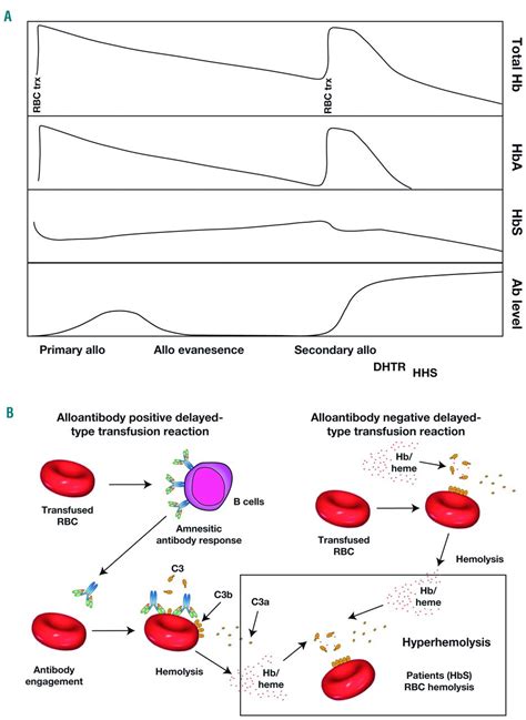 Hemolytic Transfusion Reactions In Sickle Cell Disease