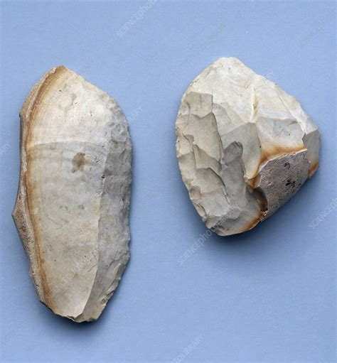 Stone Age Flint Blades Stock Image C0150511 Science Photo Library