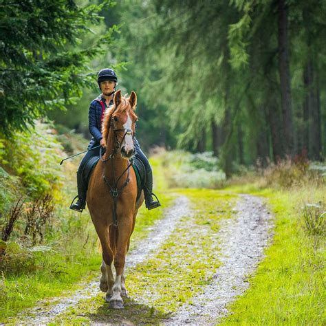 Horse Riding — Go Tweed Valley Scotland