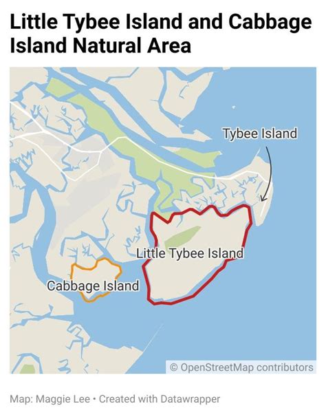 Dnr Clears Illegal Encampments From Little Tybee Georgia Public