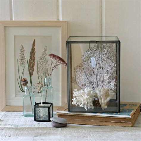 Large Glass Display Box By Magpie Living