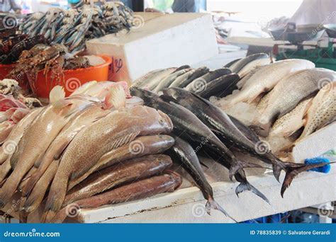 Fish At The Dubai Fish Market Stock Image Image Of Eating Grocery