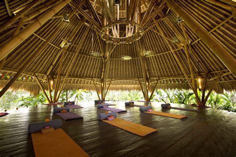 7 Day Detox Retreat At Blue Karma Ubud Bali Open All Year Soul Seed Media And Travel