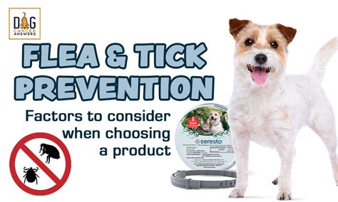 Flea And Tick Prevention Factors To Consider When Choosing A Product