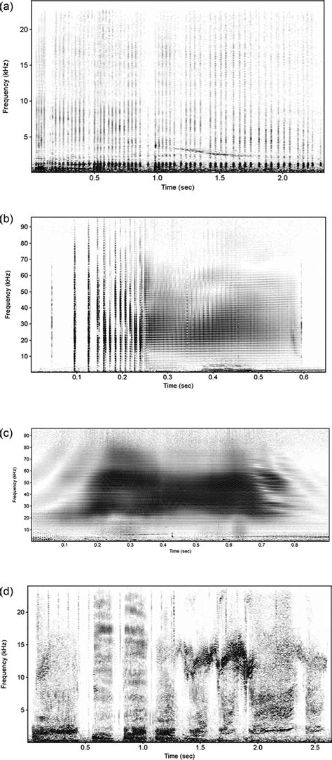 Spectrogram Examples Of Different Long Finned Pilot Whale Sounds A