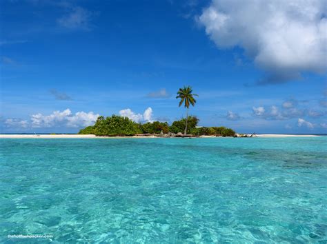 Deserted Island In Maldivesliterally An Island With 1 Palm Tree R