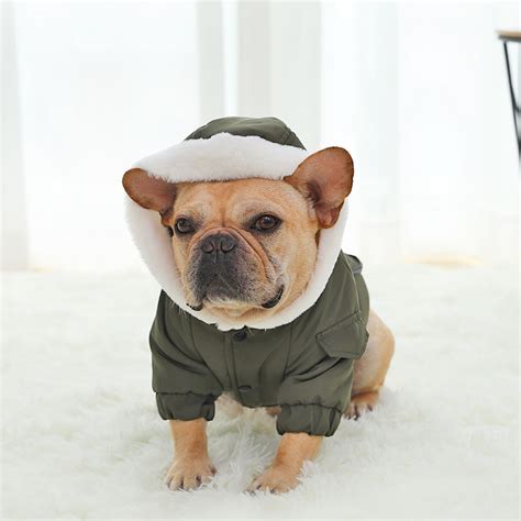 That's why they require the help of different cooling items during summer or wearing warm clothes during colder months. Hooded Jacket For French Bulldogs - Ask Frankie
