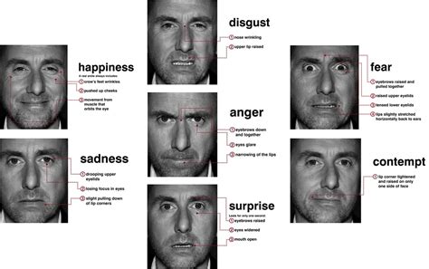 Comment Décrypter Les Expressions Faciales Dbanda Medium