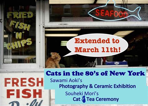 Cats In The 80s Of Ny Setsugekka Matcha Teahouse