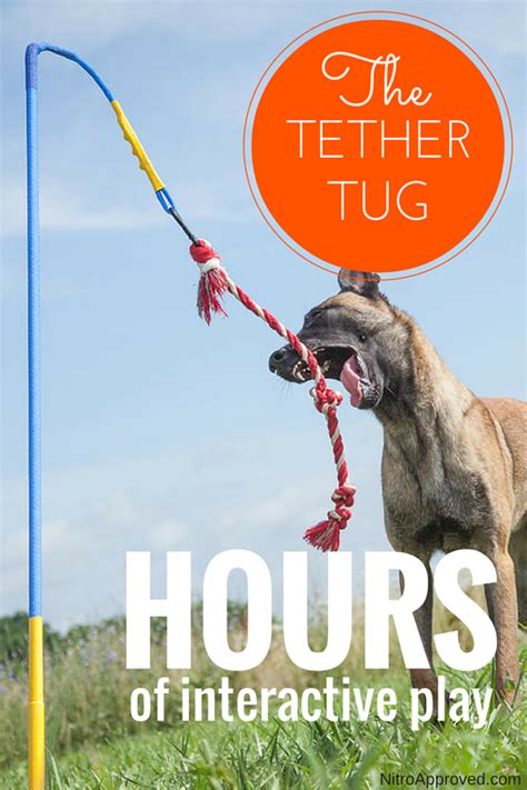 Tether Tug Dog Toy Dogtoy Doggames Dog