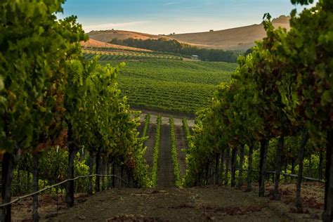 Napa Valleys Ultimate Bucket List 10 Must Do Experiences Da Shady Spot