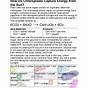 How Do Chloroplasts Capture Energy From The Sun Worksheet An
