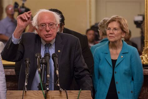 Is Bernie Sanders Sucking Up All Of Elizabeth Warrens Oxygen Observer