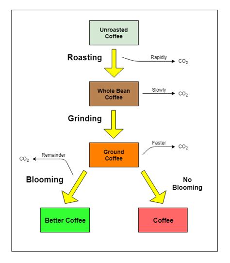 Blooming Coffee 101 Why You Should Be Blooming Your Coffee Try New