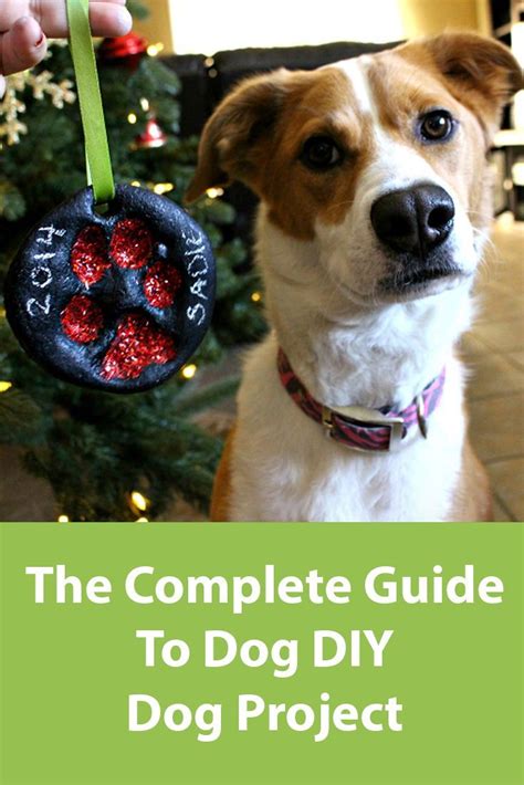 10 Diy Dog Projects Diy Dog Stuff Dog Projects Dogs