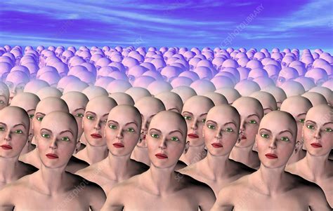 Human Cloning Stock Image G3400104 Science Photo Library