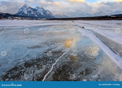 Trapped Methane Bubbles Frozen Into The Water Under The Thick Cracked