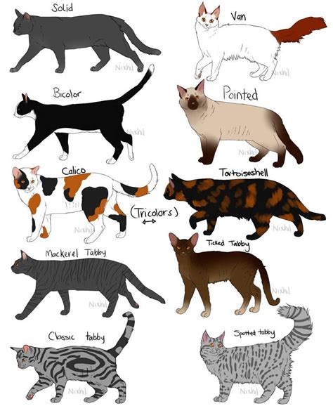 Cat Fur Patterns by Nixhil on DeviantArt | Cat fur, Cat breeds chart