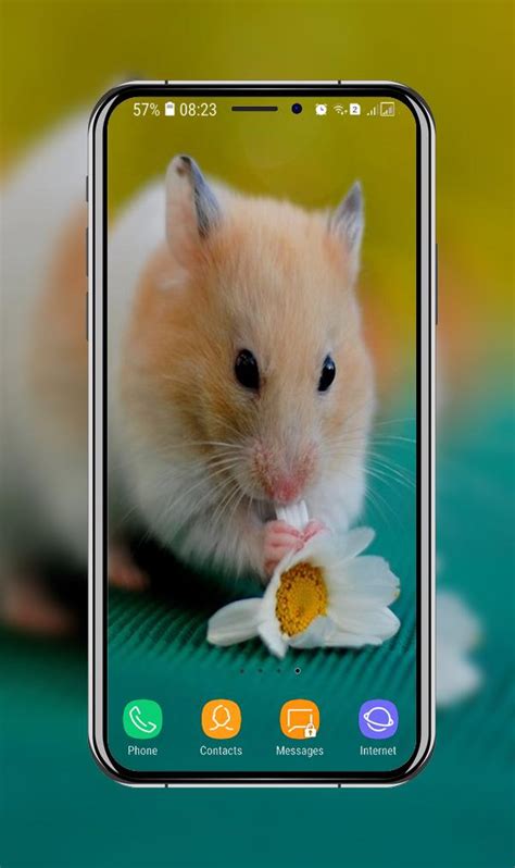 Android용 Hamster Wallpaper Apk 다운로드