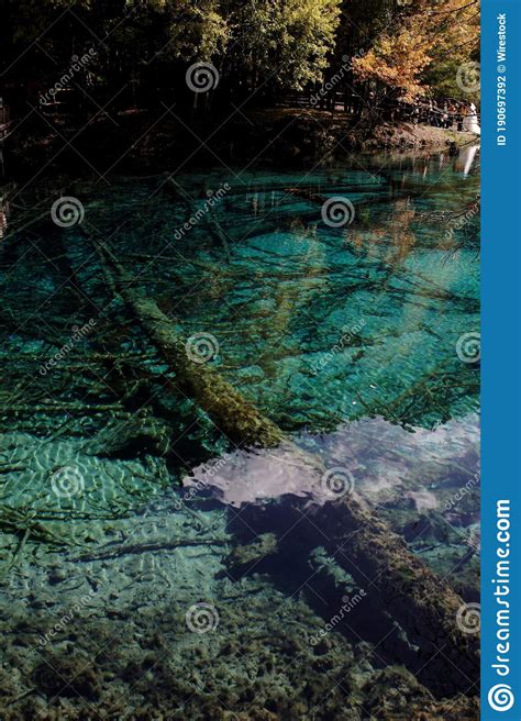 Vertical Shot Of A Blue Clear Lake With Branches Inside At The
