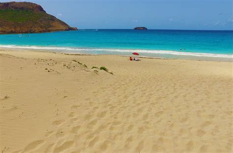 Video The Most Exotic Beach In St Barth