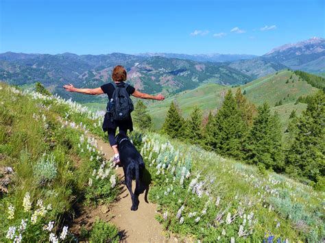 Hikes Near Sun Valley 10 Dog Friendly Trails To Try