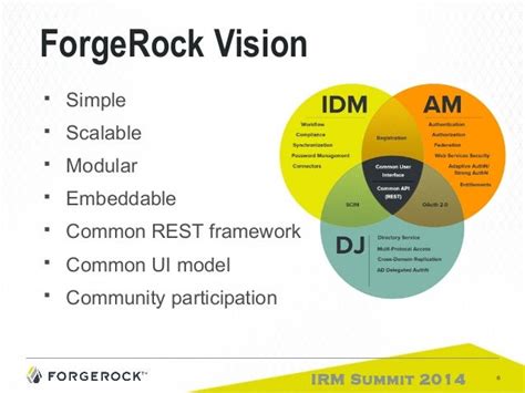 The Forgerock Platform Big Picture