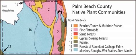 History Of The Plant Communities Map Florida Association Of Native