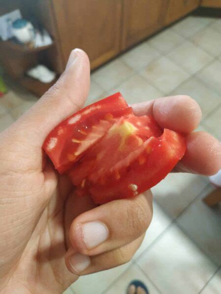 White Spots Inside Tomato Is It Safe To Eat