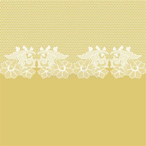 White Seamless Lace On Texture Stock Vector Illustration Of Classic